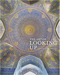 The Art of Looking Up