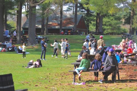 Lunch in the Park